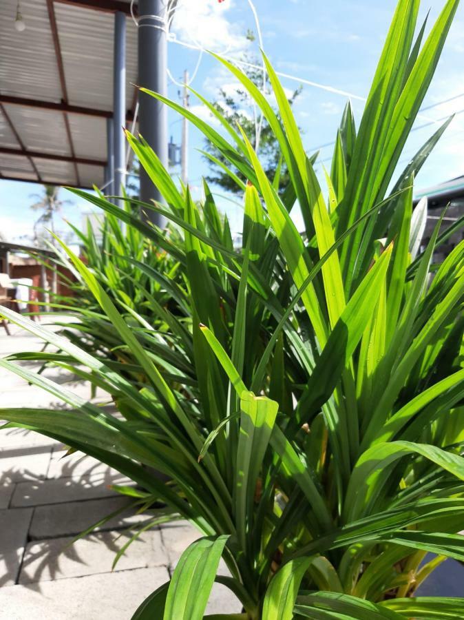 คอนเนกต์ Apartment ฟานเที้ยต ภายนอก รูปภาพ